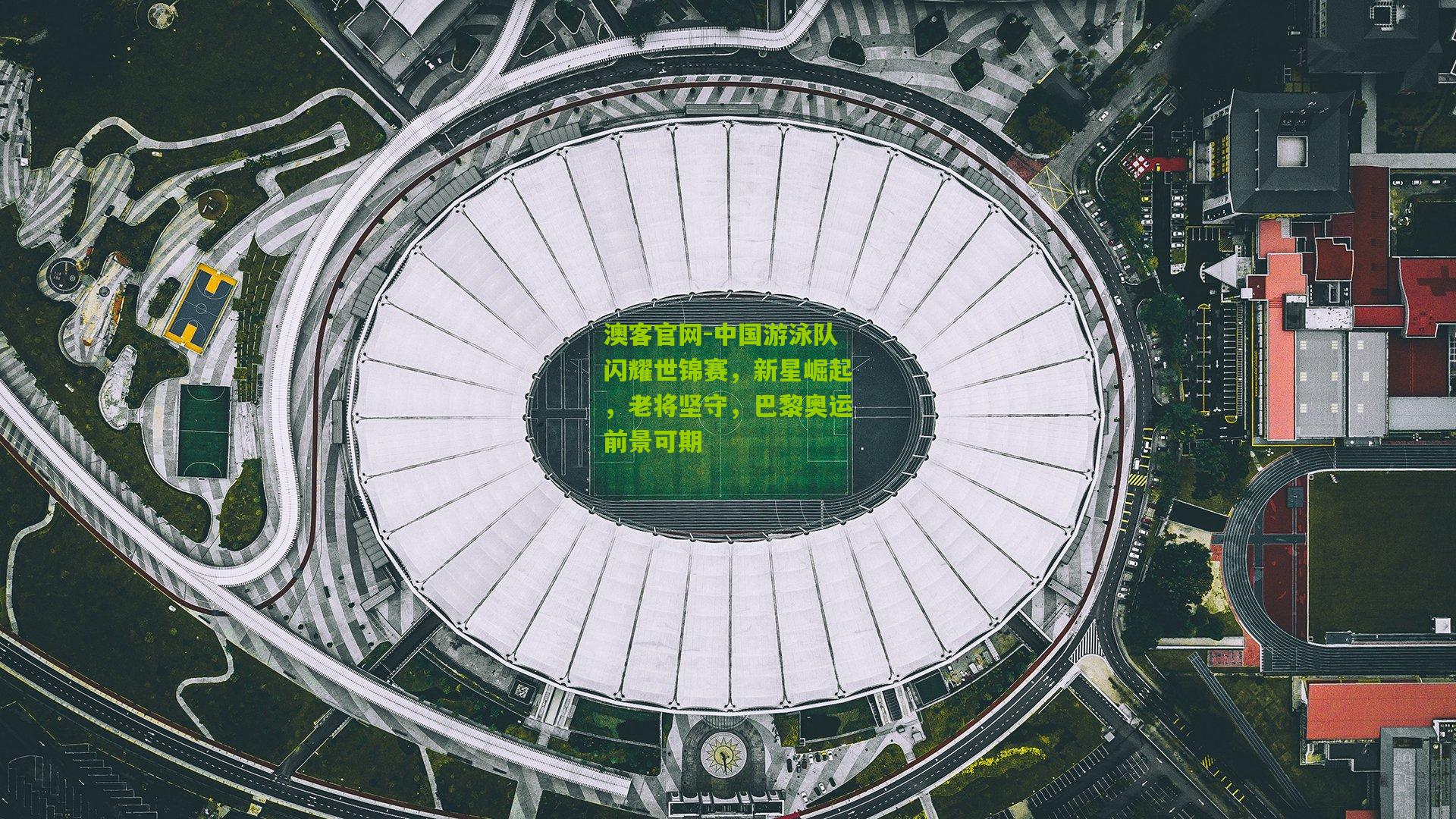 中国游泳队闪耀世锦赛，新星崛起，老将坚守，巴黎奥运前景可期